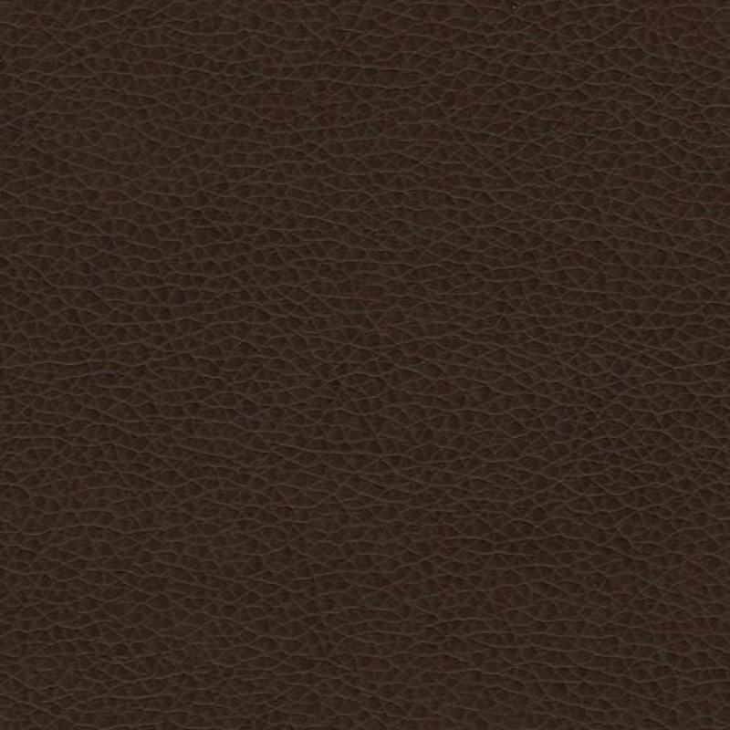 Remnant of Writers Block Tolstoy Timber Upholstery Fabric