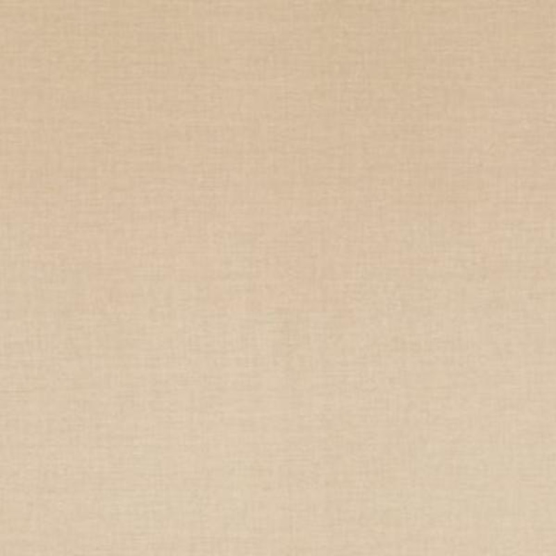 Carnegie Touch 27 Beige Upholstery Fabric