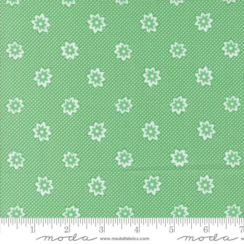 30s Playtime Aloe 33752-17