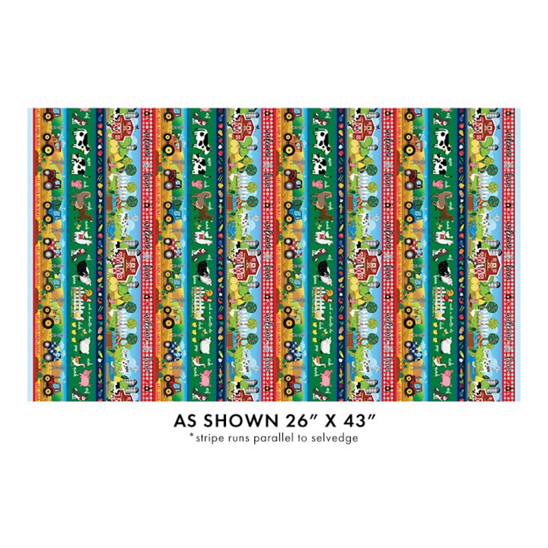 Barnyard Stripe Multi 14372-99B