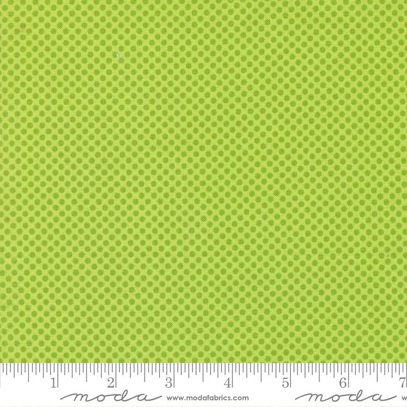 On The Bright Side Kiwi 22466-18