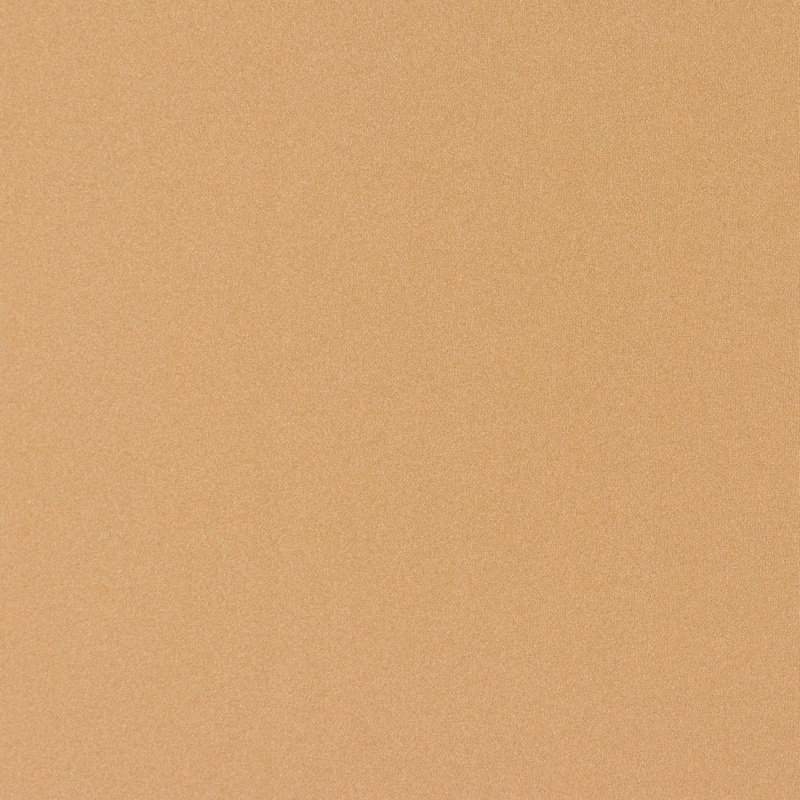 60" Champagne Nylon Spandex Fabric