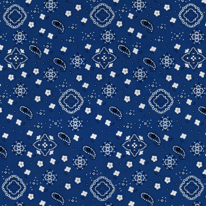 Royal Blue Bandana Print Fabric