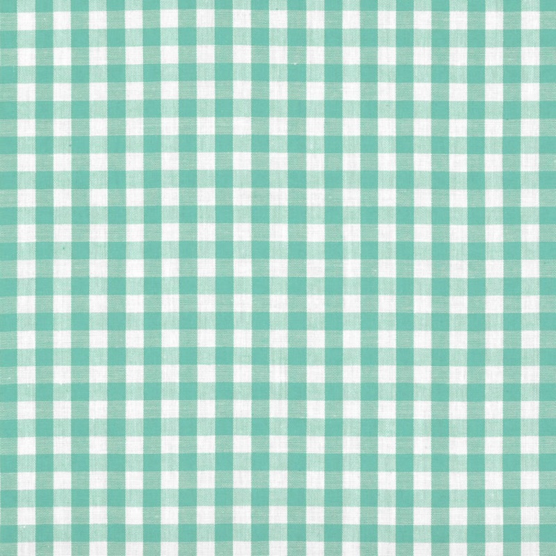 1/4" Mint Green Gingham Fabric