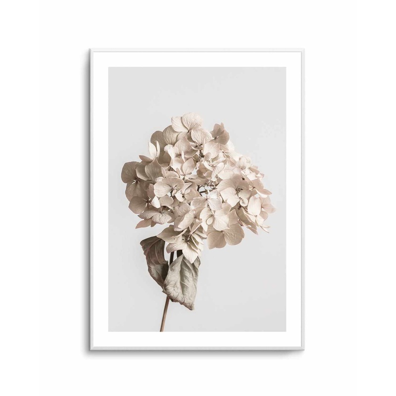 Beige Dried Flower By Studio III | Art Print