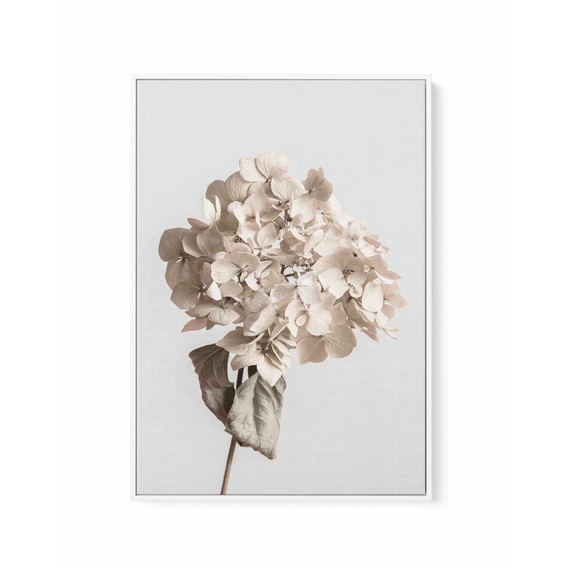 Beige Dried Flower By Studio III | Framed Canvas Art Print