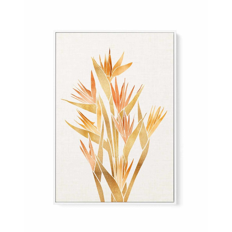 Bird of Paradise By Kristian Gallagher | Framed Canvas Art Print