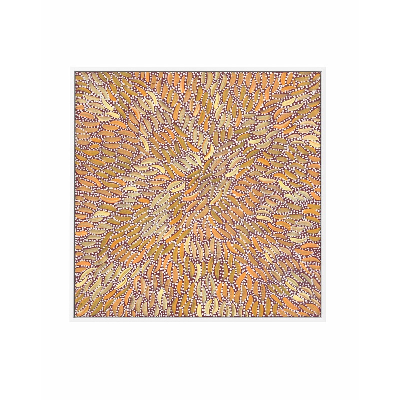 Water Dreaming II in Ochre by Chantelle Nampijinpa Robertson | Framed Canvas Art Print