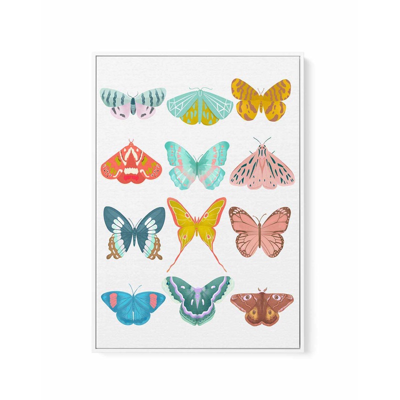Butterfly By Petra Lizde | Framed Canvas Art Print