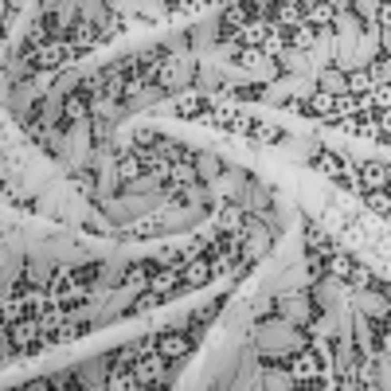 Stretch Lace - White Floral - Katerina Collection