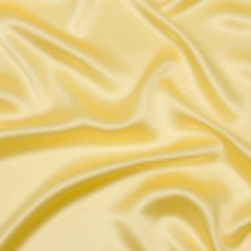Stretch Silk Charmeuse - French Vanilla - Premium Collection