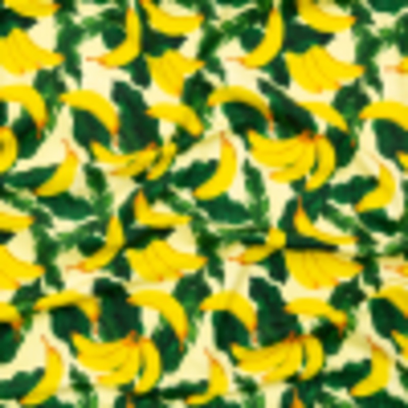 Bananas and Leaves Caye UV Protective Compression Swimwear Tricot with Aloe Vera Microcapsules