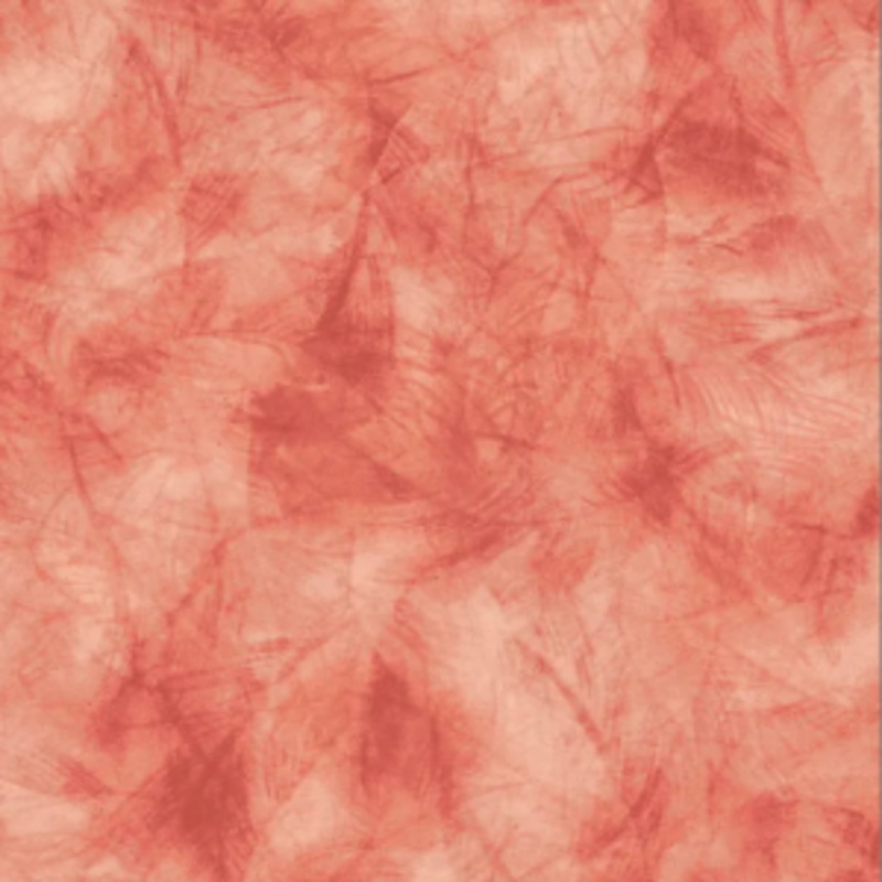Quilt Backing Etchings 118" Wide Peach #1820009 Sold by The Yard 100% Cotton