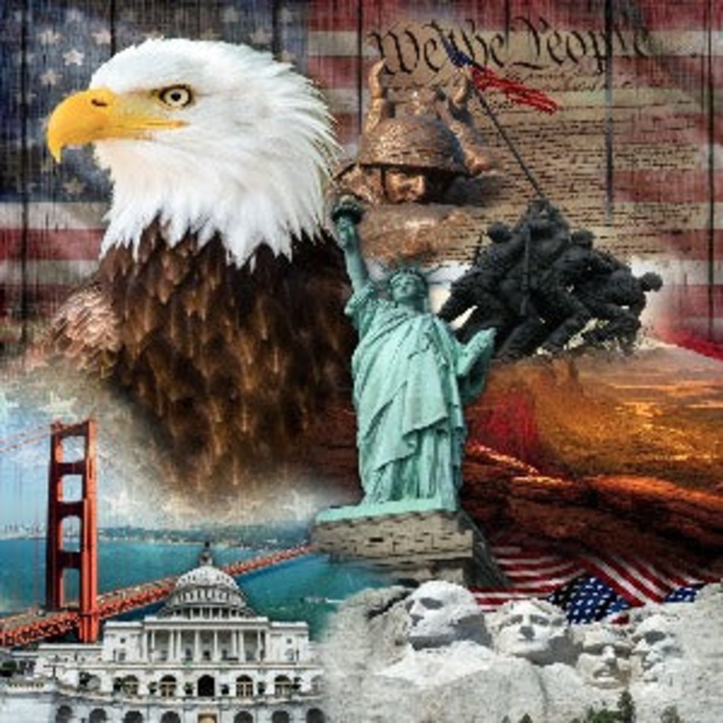 35 x 44" David Textiles Quilt of Valor Panel