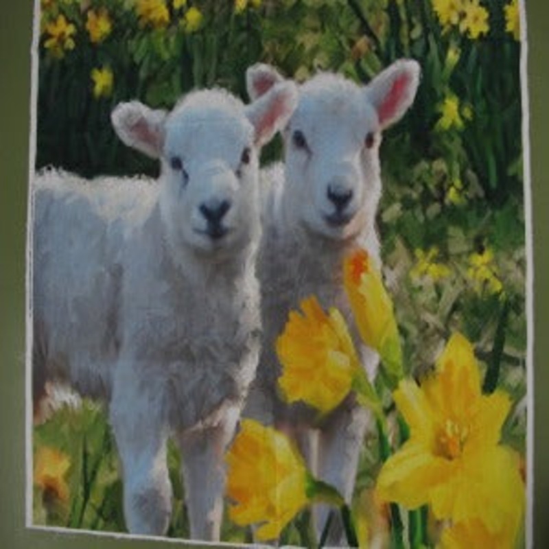 Lambs Spring Digital Print Cotton Fabric Panel