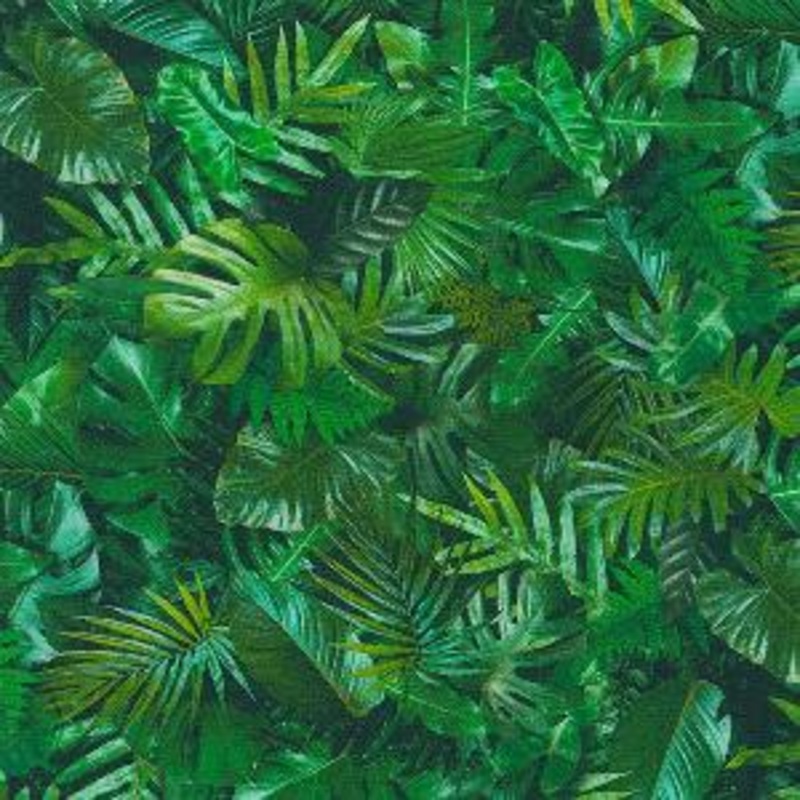 Robert Kaufman Fabrics Imaginings Jungle Sold by The Yard 100% Cotton