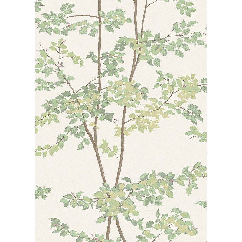 Beech Wallpaper - Lewis & Wood-