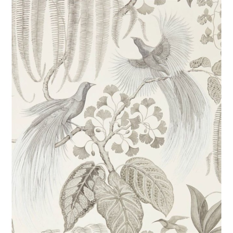 Bird Of Paradise Wallpaper - Linen - DGLW216652 - Sanderson