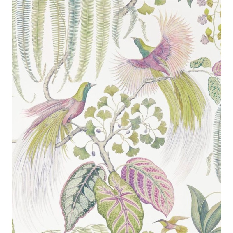 Bird Of Paradise Wallpaper - Orchid - DGLW216654 - Sanderson
