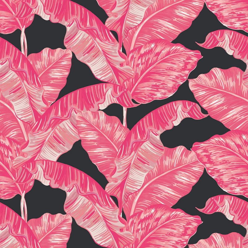 Under The Banana Tree Wallpaper - Hot Pink & Charcoal