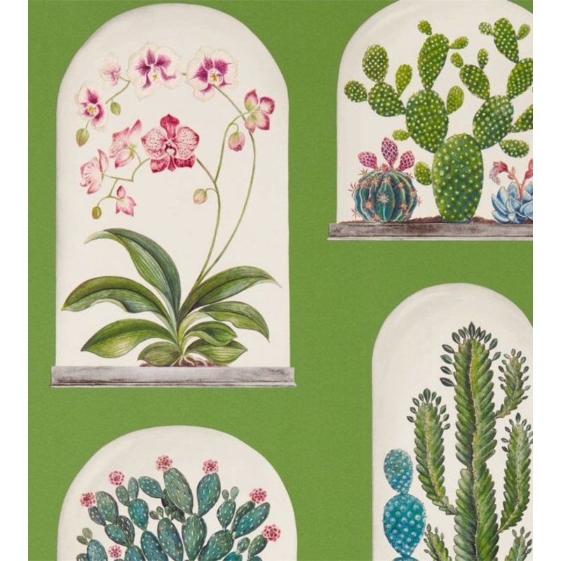 Terrariums Wallpaper - Botanical Green/Multi - DGLW216656 - Sanderson