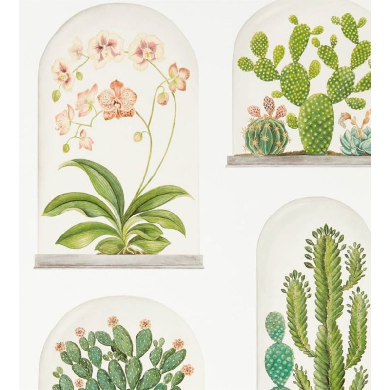 Terrariums Wallpaper - Chalk/Green - DGLW216655 - Sanderson