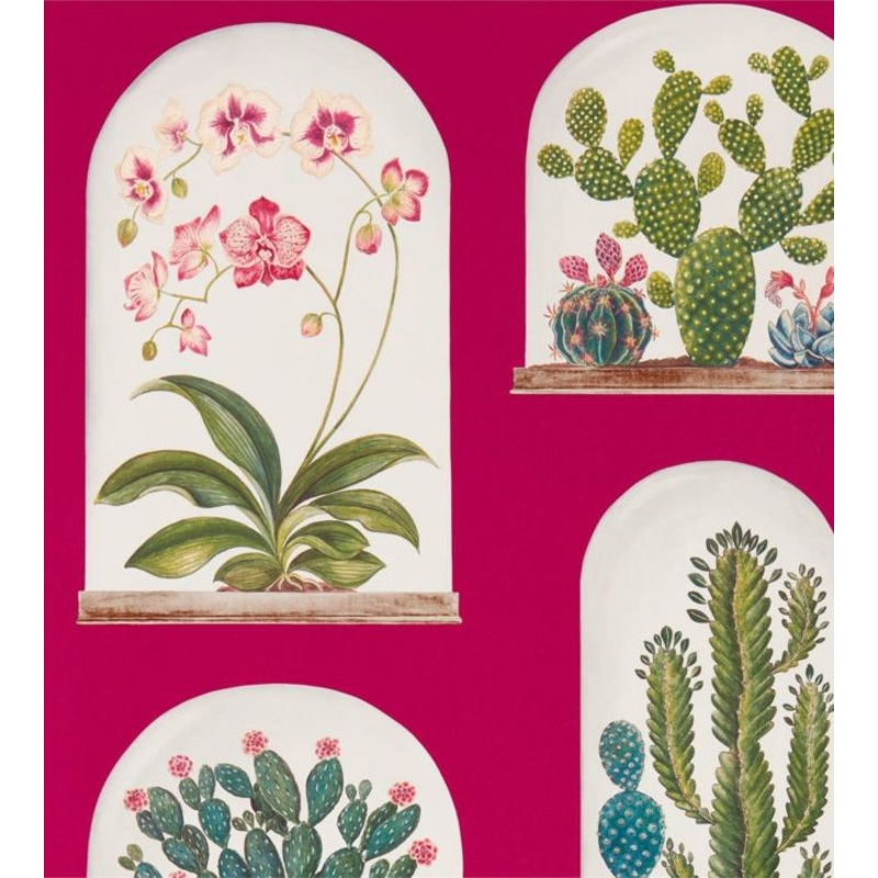 Terrariums Wallpaper - Rhodera/Multi - DGLW216657 - Sanderson
