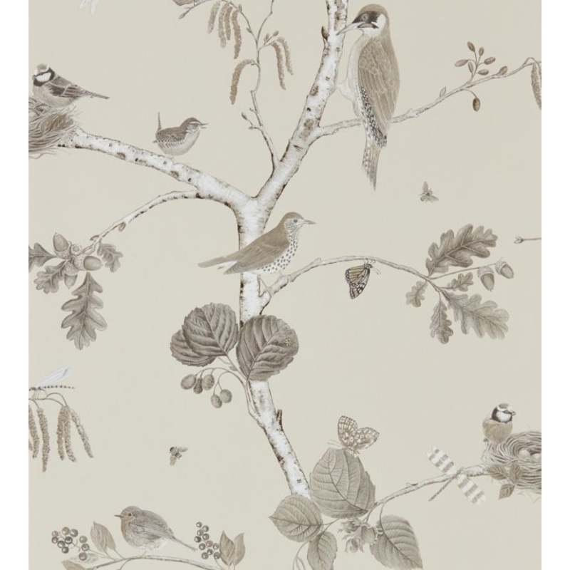 Woodland Chorus Wallpaper - Sepia/Neutral - DWOW215704 - Sanderson