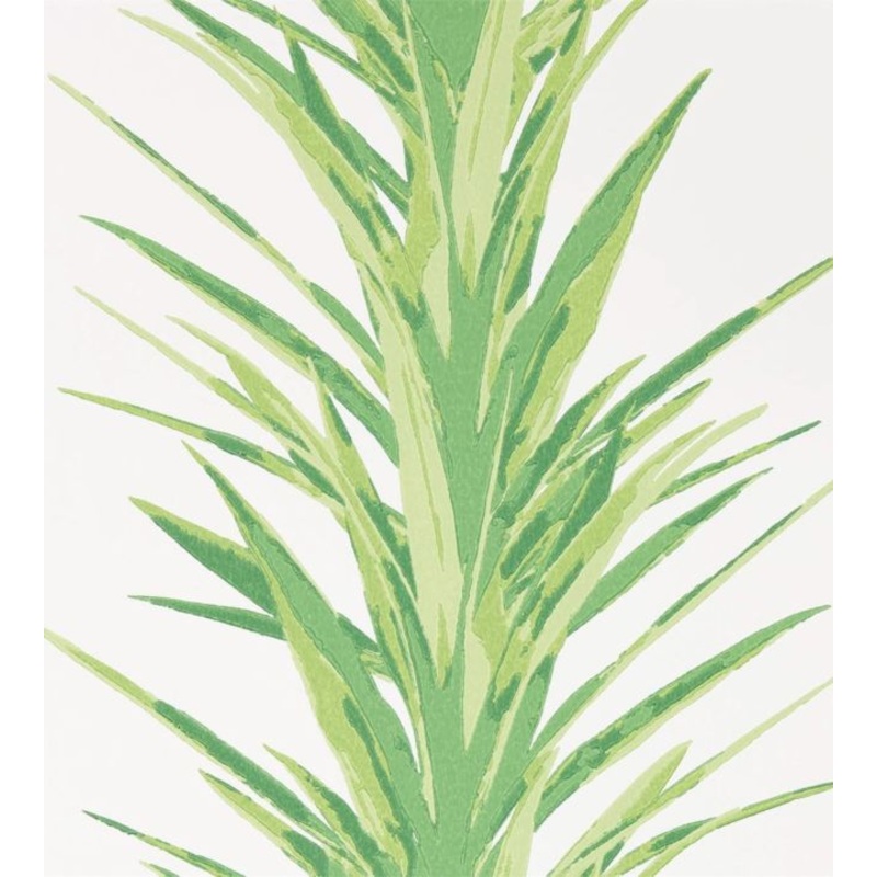 Yucca Wallpaper - Botanical Green - DGLW216649 - Sanderson