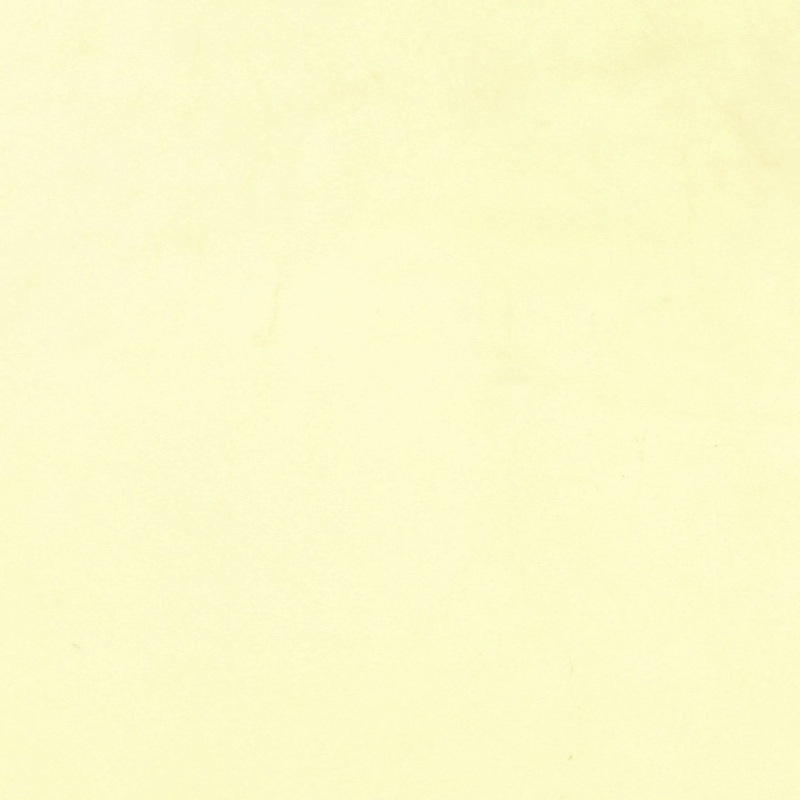 Chiffon - VICTORIA - 023 - Light Yellow