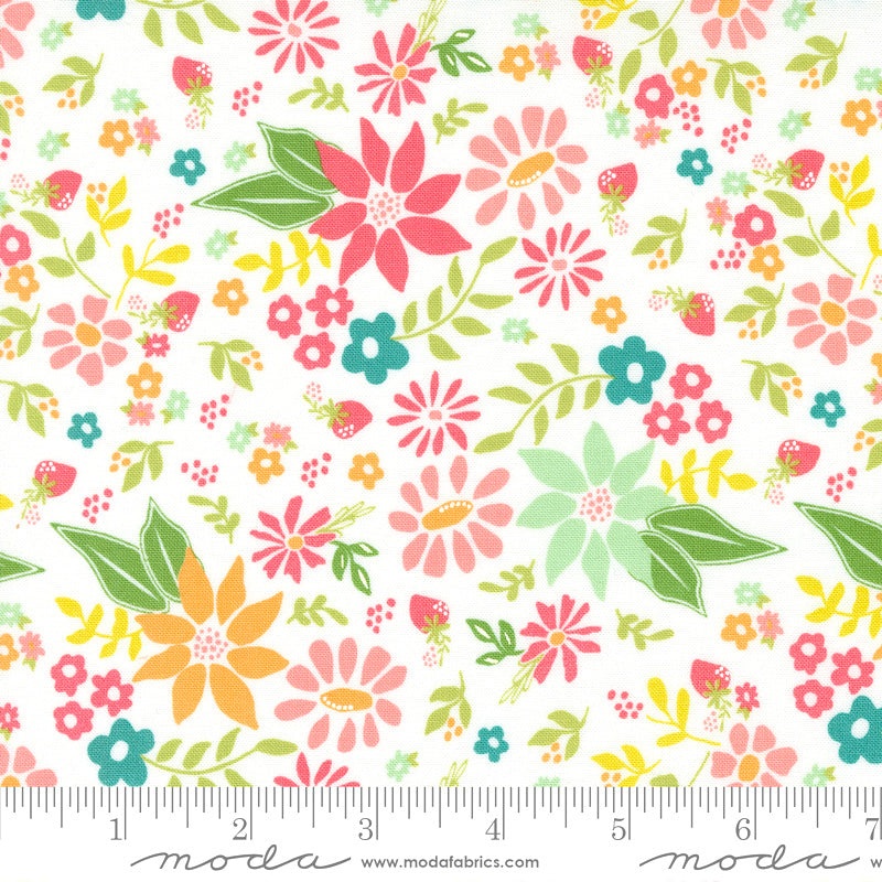Strawberry Lemonade 37670-11 Cloud