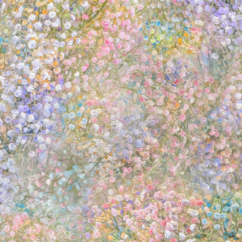 Wildflowers V5247-170 Meadow