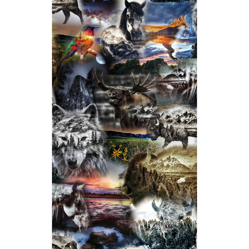 Wild V5290-112 Dawn