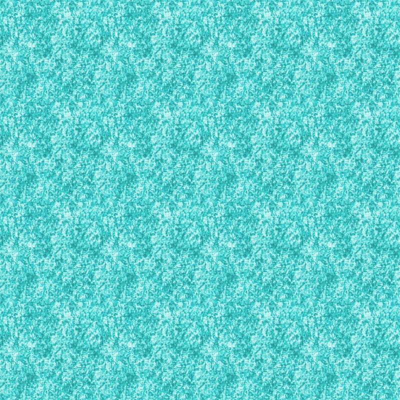 Acid Wash 92015-60 Mint